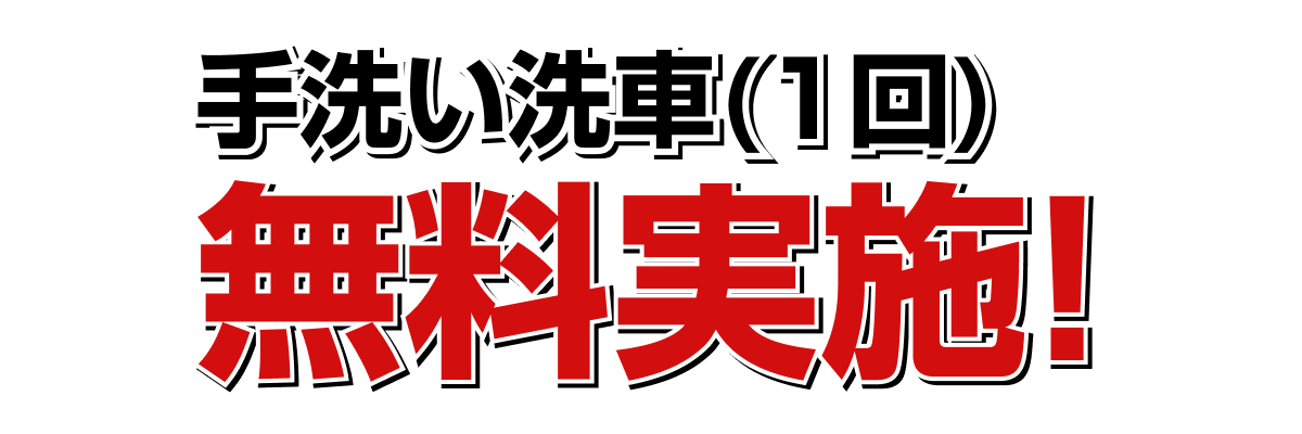 1カ月点検で手洗い洗車無料 (1回)