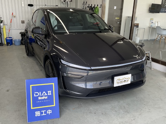 その他・テスラ モデルYのダイヤⅡキーパー