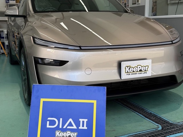 その他・テスラ モデルYLのダイヤⅡキーパー